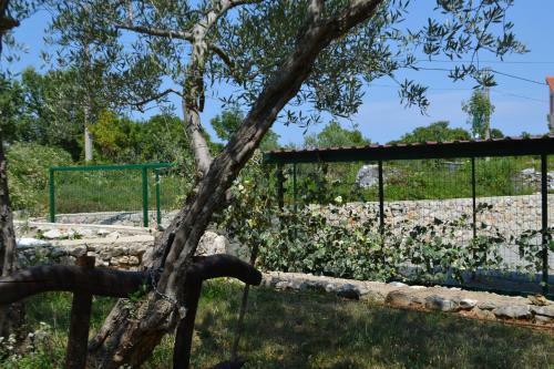 Apartman Renata