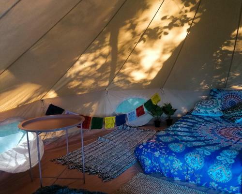 Bohostay Stovyklaviet? Glamping