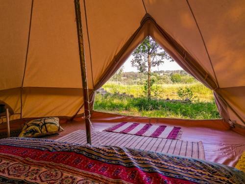 Bohostay Stovyklaviet? Glamping
