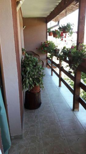 Hostal Casa Elena Eselnita