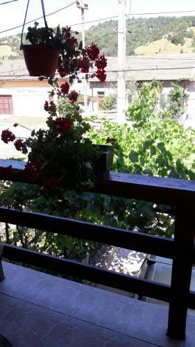 Hostal Casa Elena Eselnita