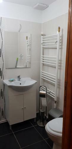 Hostal Casa Elena Eselnita