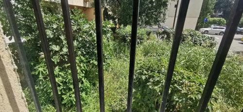 Apartamento Ground Floor Beach Studio