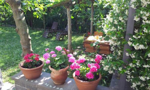Hostal Guesthouse Leasol