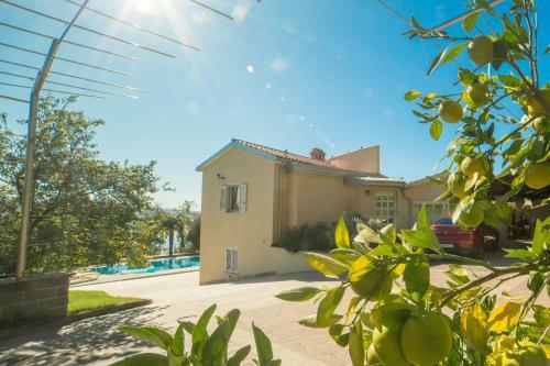 Paradise With Sea View Apartment