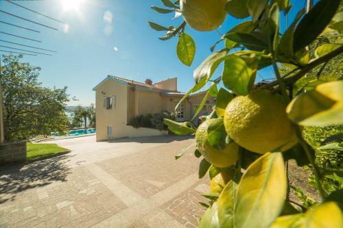 Paradise With Sea View Apartment