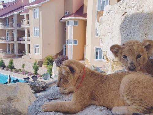 Hotel Lux Cottages Alye Parusa