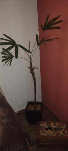 Melhor Aconchego Pelo Menor Pre�o