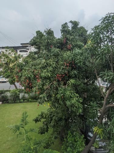 Hostal Kanchan Home Stay Dehradun