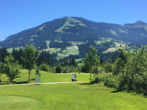 Posada Wildegams Gasthof Und Brauerei