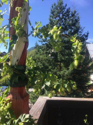 Posada Wildegams Gasthof Und Brauerei