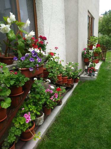 Hostal Guest House Emmy