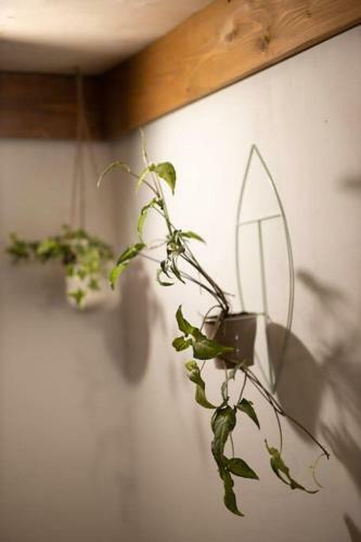 Apartamento Erd?sz�le Vend�gh�z A Dunakanyarban