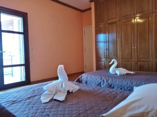 Hostal Polithea Home