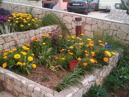 Apartmani ?tambuk