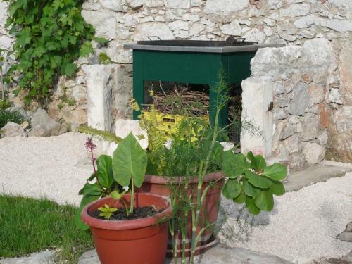 Hostal Guesthouse Palma