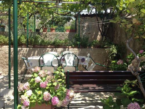 Hostal Guesthouse Palma