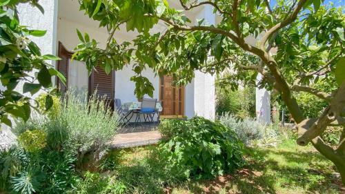 Apartamentos Pjerina