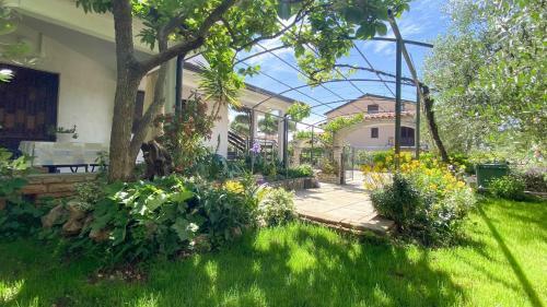 Apartamentos Pjerina