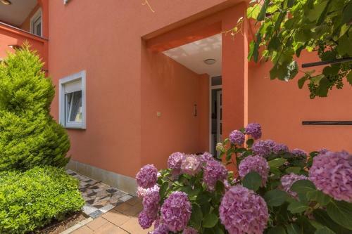 Apartamento App Danica