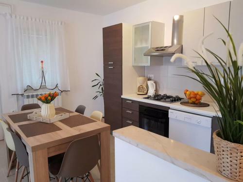 Apartman Ruza 1