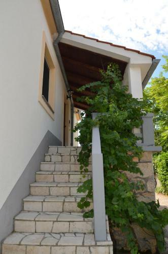 Haus Knott