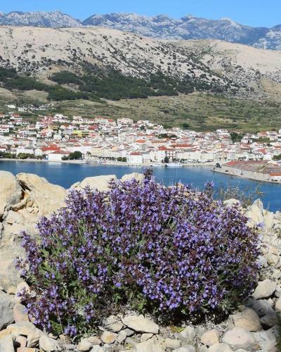 Apartamento Blue Bay