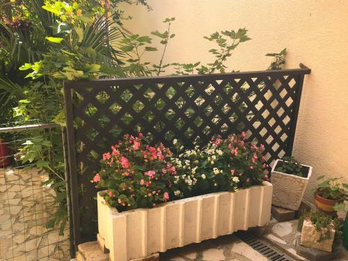 Apartamento House Maja