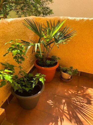 Apartamento House Maja