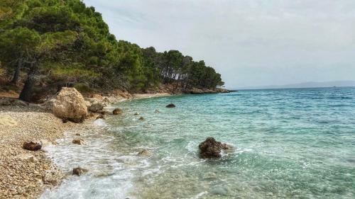 Apartmani Vela Makarska