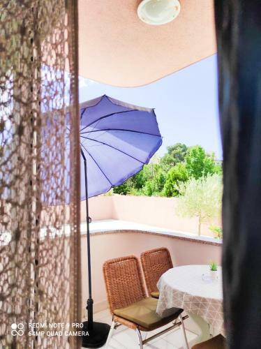 Apartmani Jure