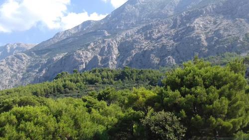 Apartamento Studio With Magic View