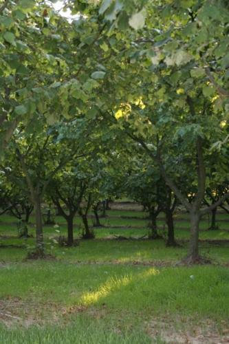 Agroturismo La Quercia Rossa