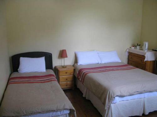Dun Aoibhinn House B&B