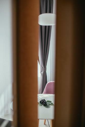 Apartamento Maslina & Lavanda