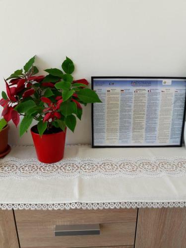 Apartmani Buba
