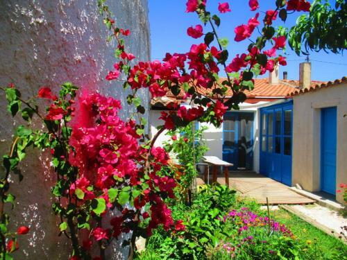 Bed & Breakfast Limolo Guesthouse