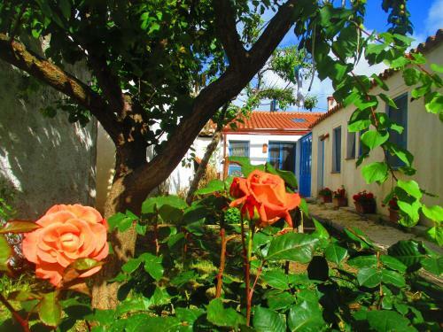 Bed & Breakfast Limolo Guesthouse