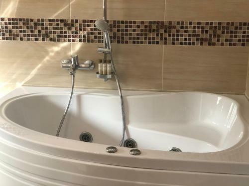 Villa Floarea *****