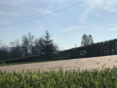 Villa Floarea *****