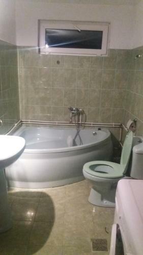 Hostal Pensiunea Miesca