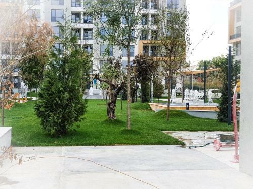 Apartament Andreea Onix Blue