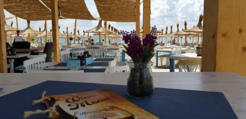 Aloysia Apartment Mamaia Nord