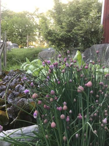 �sterlens B� Och B�dd