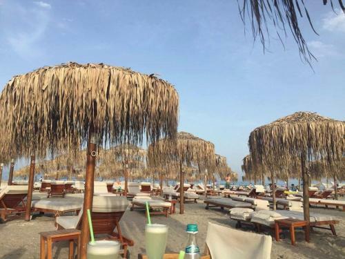 Delice Apartament Mamaia