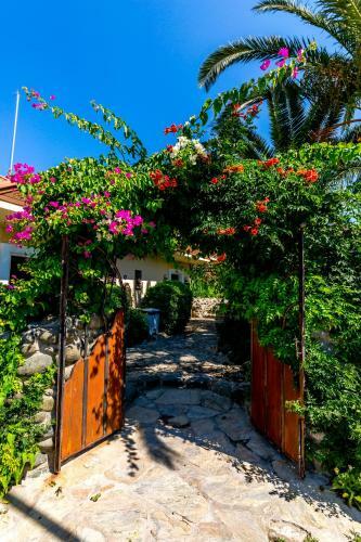 Palmetto Resort Hotel Selimiye