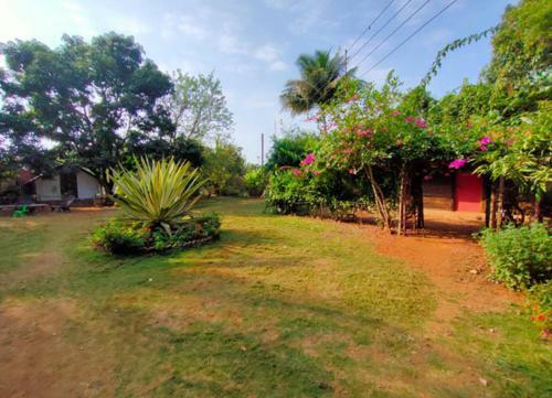 Agroturismo Green Environment Stay