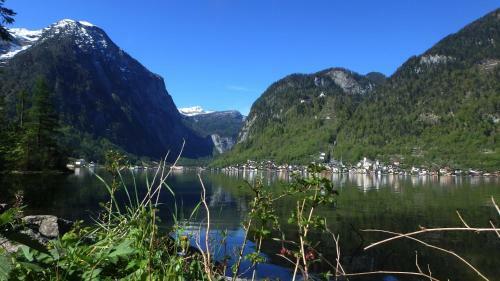 Apartamento Haus Alpenblick