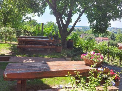 Villa N�das Pince