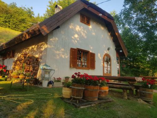 Villa N�das Pince